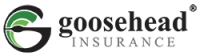 4a Goosehead Insurance Home